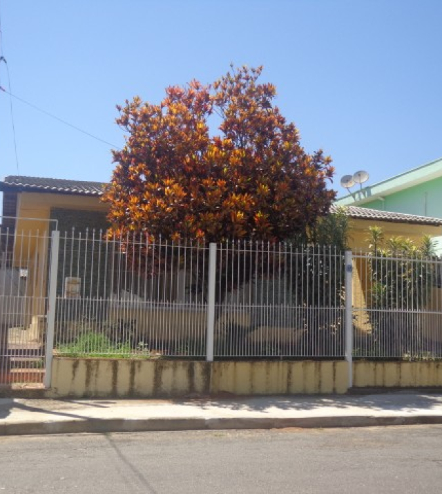 C0025 1.JPG